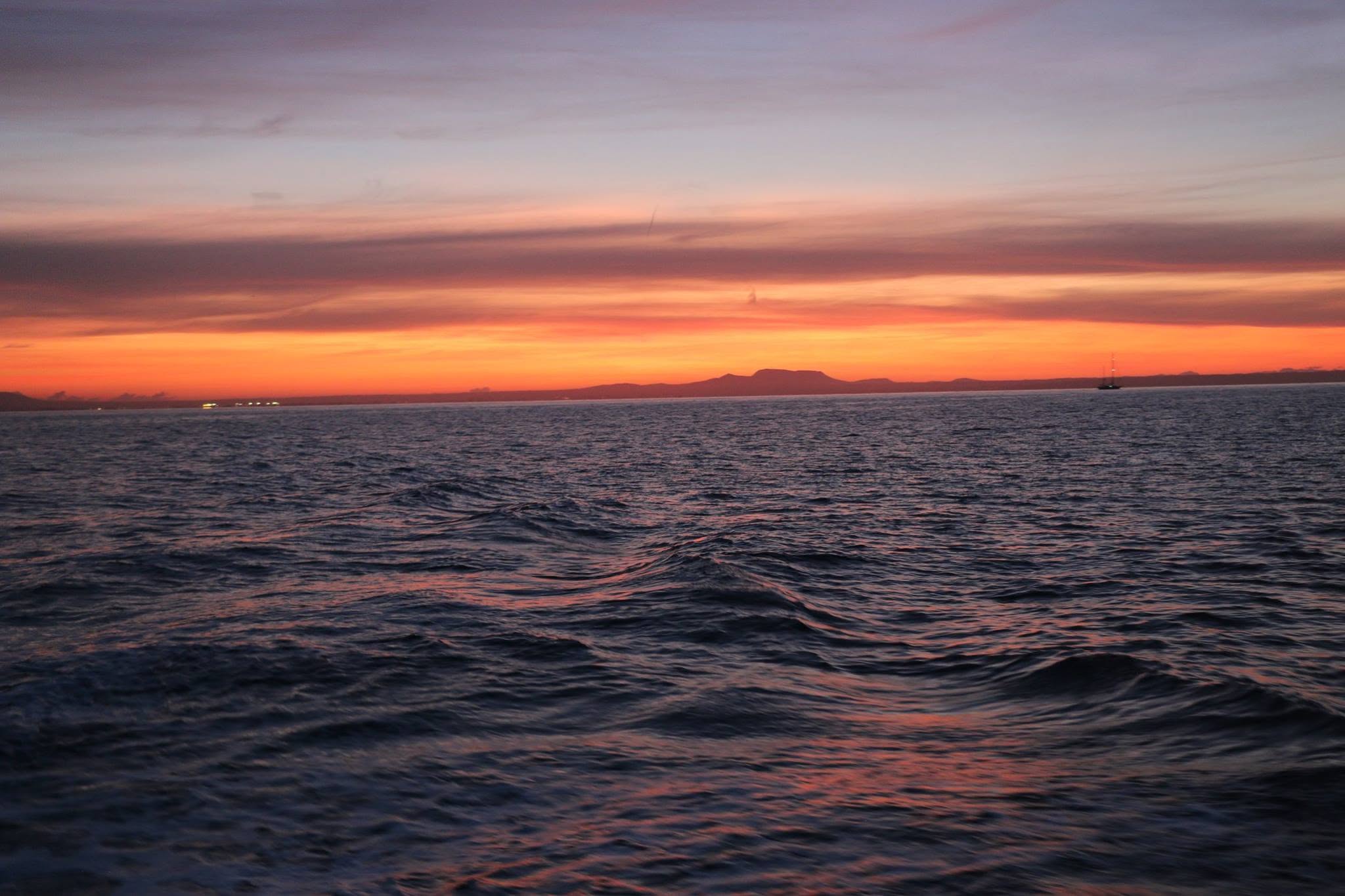 The Mad Hatter's Sunrise Boat Party gallery 2